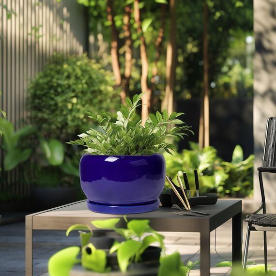 SQOWL Keramik-Blumentopf, 25,4 cm, Keramik-Übertopf für drinnen und draußen, runder Blumentopf mit Ablaufloch und Untersetzer, moderner dekorativer großer Pflanzgefäß, Gartendekoration