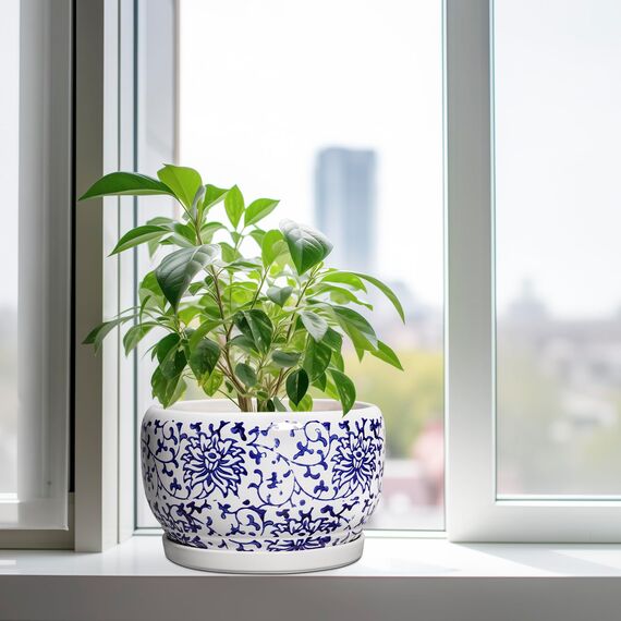 SQOWL Keramiktöpfe für Pflanzen – 25,4 cm Keramik-Blumentöpfe mit Ablaufloch und Untersetzer, runder großer Übertopf für den Innenbereich, dekorativer Porzellan-Pflanzgefäß für den Außenbereich