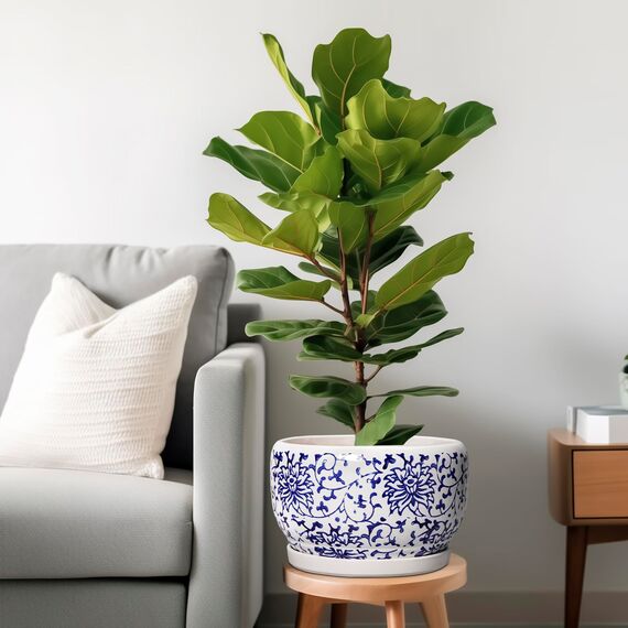 SQOWL Keramiktöpfe für Pflanzen – 25,4 cm Keramik-Blumentöpfe mit Ablaufloch und Untersetzer, runder großer Übertopf für den Innenbereich, dekorativer Porzellan-Pflanzgefäß für den Außenbereich