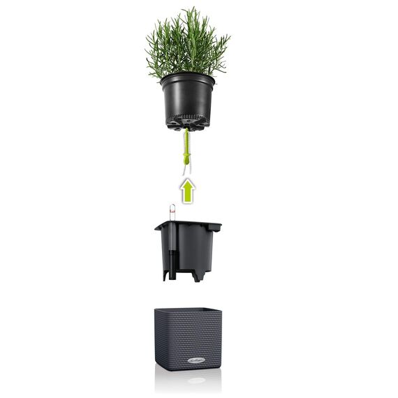 LECHUZA CUBE Color Green Wall Home Kit schiefergrau 13399
