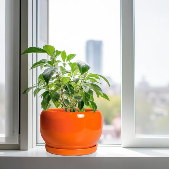 SQOWL Keramik-Pflanzgefäß - 25,4 cm Pflanztopf mit Ablaufloch und Untersetzer, runder moderner Übertopf für Innen- und Außenbereich, dekorativer großer Blumentopf, Hausdekoration, Geschenke für Frauen