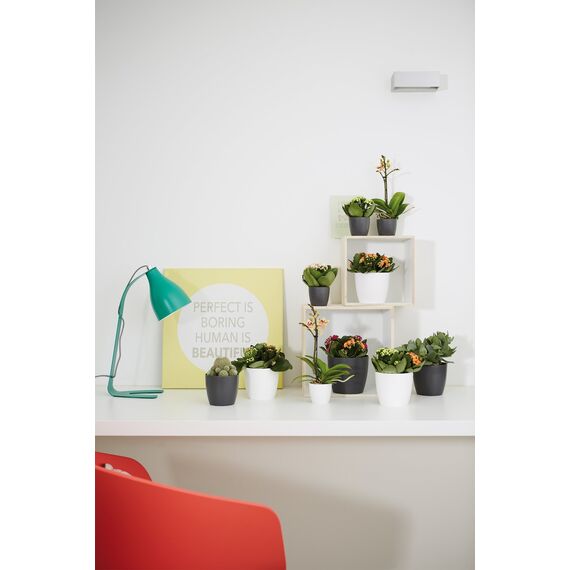 Elho Brussels Rund Mini 12,5 - Blumentopf - Lebhaft Schwarz - Drinnen - Ø 13 x H 11.4 cm