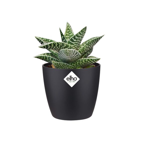 Elho Brussels Rund Mini 12,5 - Blumentopf - Lebhaft Schwarz - Drinnen - Ø 13 x H 11.4 cm