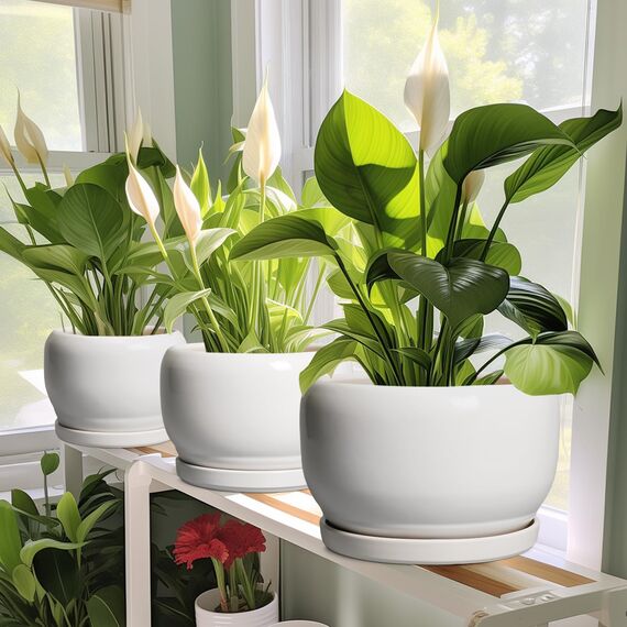 SQOWL Keramik-Pflanzgefäße für Zimmerpflanzen, 20,3 cm, runder Blumentopf für den Außenbereich, mit Ablaufloch und Untersetzer, dekorativer moderner Übertopf, Küchendekoration, Hausgeschenke, Weiß