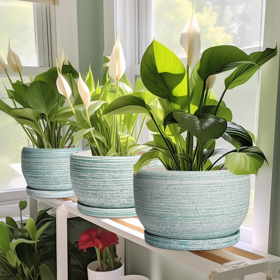 SQOWL Keramik-Pflanzgefäß – 20,3 cm Pflanztopf für Innen- und Außenbereich, rund, Keramik-Pflanzgefäß mit Ablaufloch und Untersetzer, gebürstetes Grün