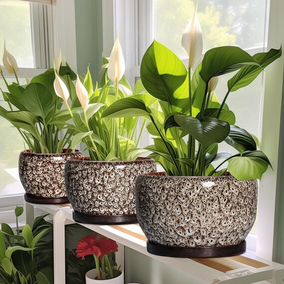 SQOWL Keramik-Pflanzgefäß – 20,3 cm Pflanztopf für den Innenbereich mit Ablaufloch und Untersetzer, runde Keramik-Blumentöpfe für den Außenbereich, dekorativer moderner Übertopf, Büro-Küchendekoration