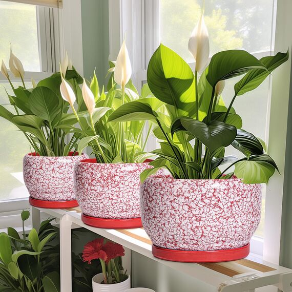 SQOWL Keramiktöpfe für Pflanzen – 20,3 cm großer Indoor-Pflanztopf mit Ablaufloch und Tablett, Keramik-Blumentopf für den Außenbereich, runder dekorativer Übertopf, Schlafzimmerdekoration, Geschenke