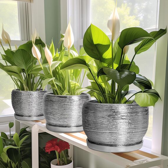 SQOWL Keramiktopf für Pflanzen – 20,3 cm Übertopf mit Ablaufloch und Untersetzer, runder Übertopf für drinnen und draußen, moderner dekorativer Blumentopf, Hausdekoration, Geschenke für