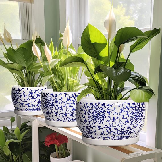 SQOWL Keramiktöpfe für Pflanzen – 25,4 cm Keramik-Blumentöpfe mit Ablaufloch und Untersetzer, runder großer Übertopf für den Innenbereich, dekorativer Porzellan-Pflanzgefäß für den Außenbereich