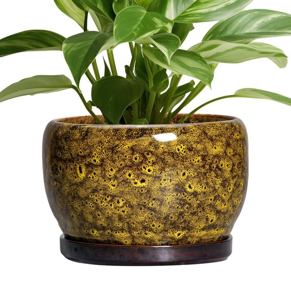 SQOWL Keramik-Blumentöpfe – 20,3 cm Keramik-Übertopf für Zimmerpflanzen, dekorative Blumentöpfe mit Ablaufloch und Untersetzer, runder Übertopf für den Außenbereich, Veranda, Hinterhof-Dekoration