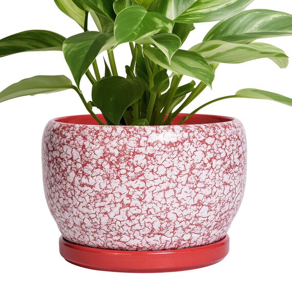 SQOWL Keramiktöpfe für Pflanzen – 20,3 cm großer Indoor-Pflanztopf mit Ablaufloch und Tablett, Keramik-Blumentopf für den Außenbereich, runder dekorativer Übertopf, Schlafzimmerdekoration, Geschenke