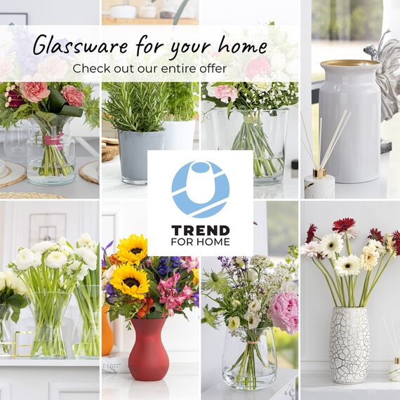 TREND FOR HOME Blumentopf Glas 13.5 cm Blumentopf Orchideen Orchideentopf Transparent Übertopf aus Glas Pflanztopf Übertopf aus Blumenkübel Blumenübertopf | 1000 ml | ⌀ 12.5 cm | Orchid