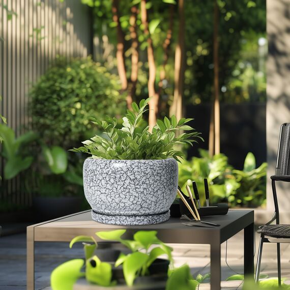 SQOWL Keramik-Pflanzgefäße – 25,4 cm Keramik-Blumentopf mit Ablaufloch und Untersetzer, dekorativer Blumentopf für den Innenbereich, runder großer Übertopf für den Außenbereich, Badezimmer-Dekor