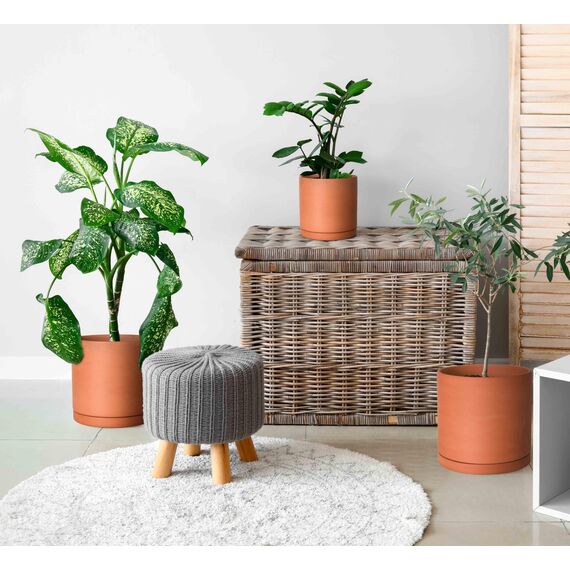 D'vine Dev Terrakotta-Töpfe für Pflanzen, 16,5 cm, 21,6 cm, 25,4 cm, runder Zylinder-Pflanztopf mit Drainage und Untersetzer, 40-T-C-0