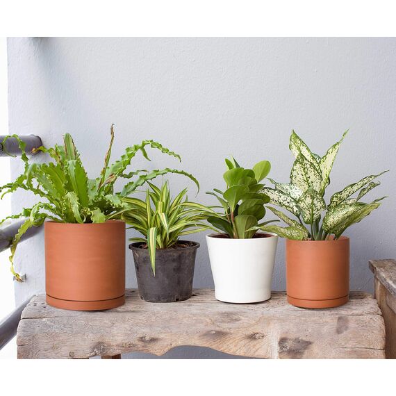 D'vine Dev Terrakotta-Töpfe für Pflanzen, 13 cm, 16,5 cm, 21,6 cm, runder Zylinder-Pflanztopf mit Drainage und Untersetzer, 40-T-B-0