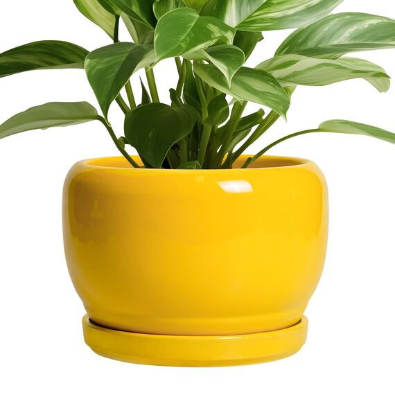 SQOWL Keramik-Blumentopf, 20,3 cm, Übertopf für drinnen und draußen, dekorativer Blumentopf mit Ablaufloch und Untersetzer, moderner runder Übertopf für Blume, Schreibtischdekoration