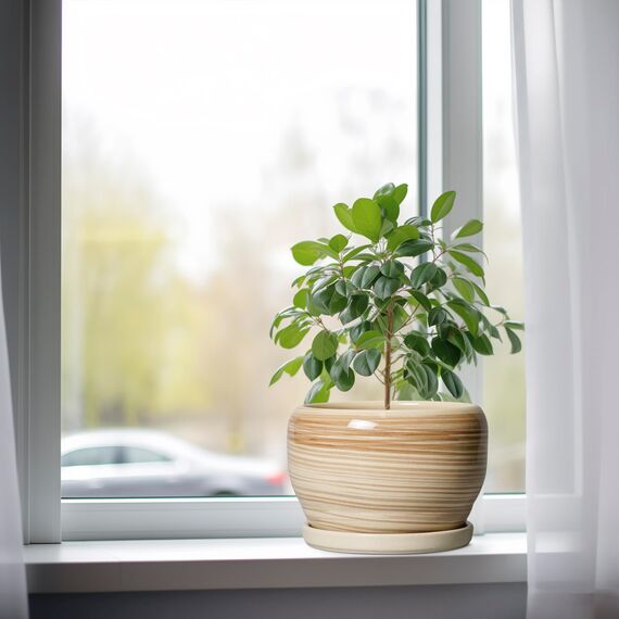 SQOWL Keramik-Pflanzgefäß, 20,3 cm, für drinnen und draußen, runder Übertopf mit Ablaufloch und Untersetzer, dekorativer moderner Keramik-Blumentopf, Wohnzimmerdekoration, Gartengeschenke, Gelb