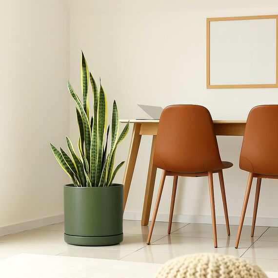 D'vine Dev 30,5 cm Keramik-Pflanztopf mit Ablaufloch und Untersetzer, Zylinder, runder Pflanztopf für den Innenbereich, Olivgrün, 94-O-F-J