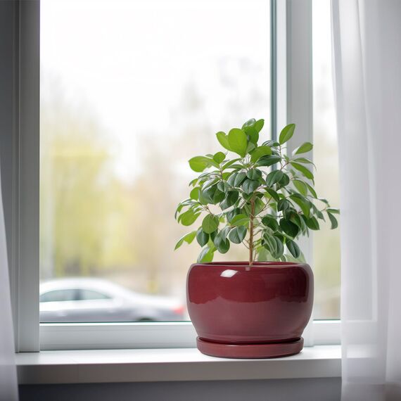 SQOWL Keramik-Pflanzgefäß – 20,3 cm Pflanztopf mit Ablaufloch und Untersetzer, runder Übertopf für Innen- und Außenbereich, Moderne dekorative Blumentöpfe, Heimdekoration, Pflanzenliebhaber-Geschenke