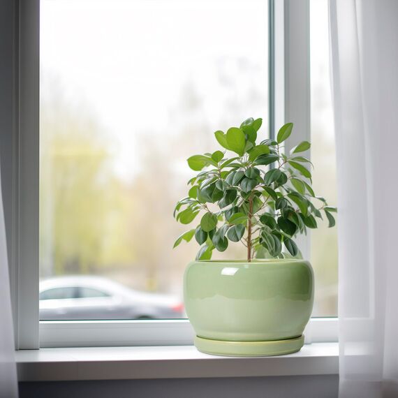 SQOWL 20,3 cm großer Blumentopf – Keramik-Pflanzgefäße mit Ablaufloch und Tablett, runder Blumentopf für Zimmerpflanzen, Moderne dekorative Pflanzgefäße für den Außenbereich, Gartendekoration