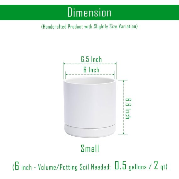 D'vine Dev 94-O-C-1 Keramik-Blumentopf mit Ablaufloch und Untersetzer, zylinderförmig, runder Blumentopf für den Innenbereich, Weiß, 15,2 cm