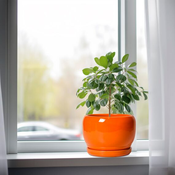 SQOWL Keramiktopf für Pflanzen – 20,3 cm Pflanztopf für drinnen und draußen, moderner runder Übertopf mit Ablaufloch und Untersetzer, dekorativer Übertopf für Blume, Bürodekoration, Gartengeschenke