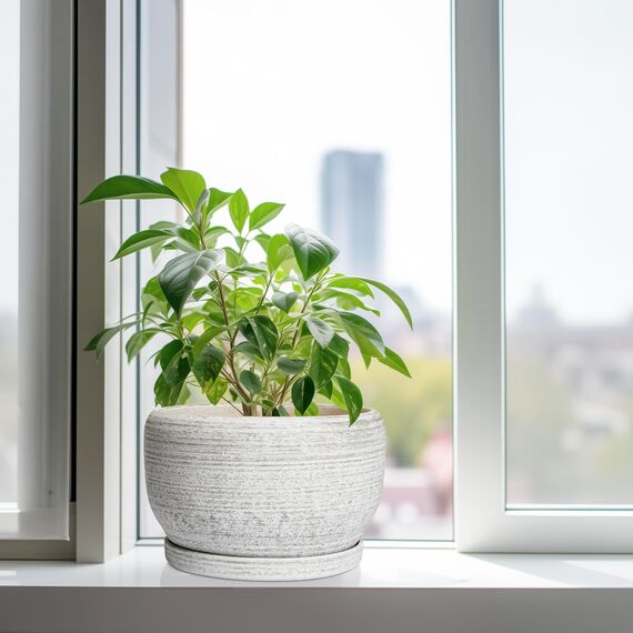 SQOWL Blumentopf aus Keramik, 25,4 cm, mit Ablaufloch und Untersetzer, dekorativer Blumentopf für Innen- und Außenbereich, runder Übertopf, gebürstetes Grau