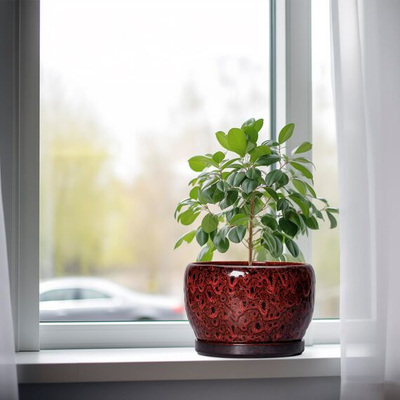 SQOWL Keramik-Blumentöpfe – 20,3 cm Übertopf mit Ablaufloch und Tablett, runder Keramik-Pflanztopf für drinnen und draußen, moderner dekorativer Blumentopf, Heimdekoration, Pflanzenliebhaber