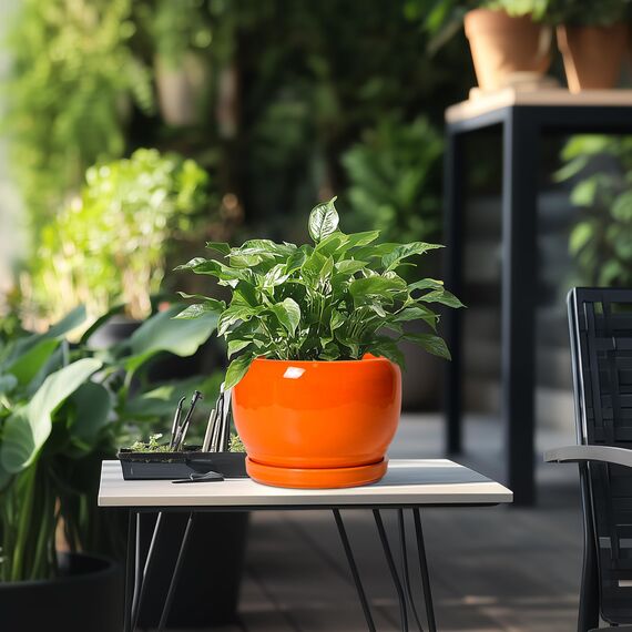 SQOWL Keramiktopf für Pflanzen – 20,3 cm Pflanztopf für drinnen und draußen, moderner runder Übertopf mit Ablaufloch und Untersetzer, dekorativer Übertopf für Blume, Bürodekoration, Gartengeschenke