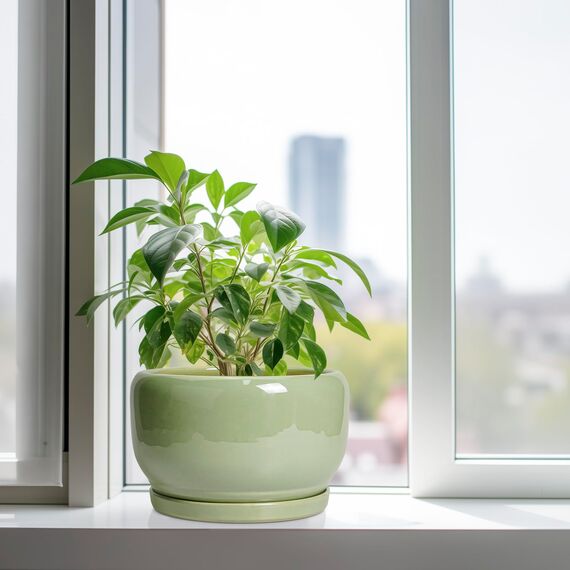 SQOWL 25,4 cm Pflanztopf - Keramik Pflanztopf mit Drainageloch und Untersetzer, dekorativer Pflanztopf für Innen- und Außenbereich, runder großer Übertopf Blumentopf, Grün