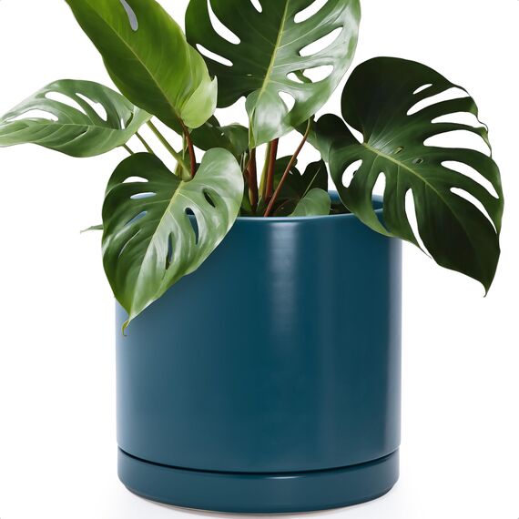 D'vine Dev 30,5 cm Keramik-Pflanztopf mit Ablaufloch und Untersetzer, Zylinder, runder Pflanztopf für den Innenbereich, Blaugrün, 94-O-F-9