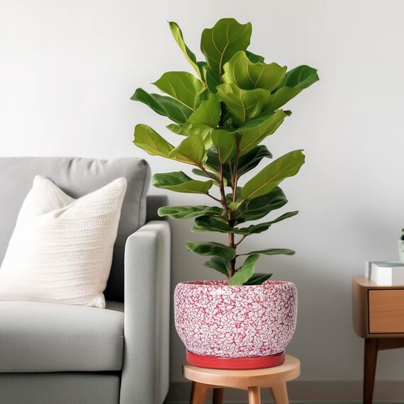 SQOWL Keramik-Pflanzgefäße für Zimmerpflanzen – 25,4 cm Blumentöpfe mit Ablaufloch und Untersetzer, dekorative Keramik-Blumentöpfe, runder großer Übertopf für den Außenbereich, Raumdekoration