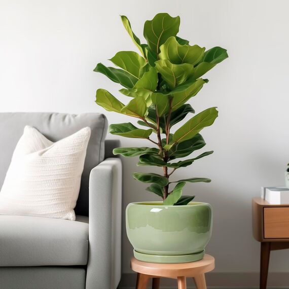 SQOWL 25,4 cm Pflanztopf - Keramik Pflanztopf mit Drainageloch und Untersetzer, dekorativer Pflanztopf für Innen- und Außenbereich, runder großer Übertopf Blumentopf, Grün