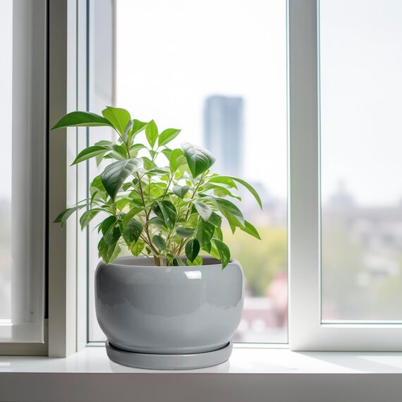 SQOWL 25,4 cm großer Blumentopf – Keramik-Übertopf für Zimmerpflanzen, runder Keramik-Blumentopf mit Ablaufloch und Untersetzer, moderner großer Outdoor-Pflanzgefäß, Raumdekoration