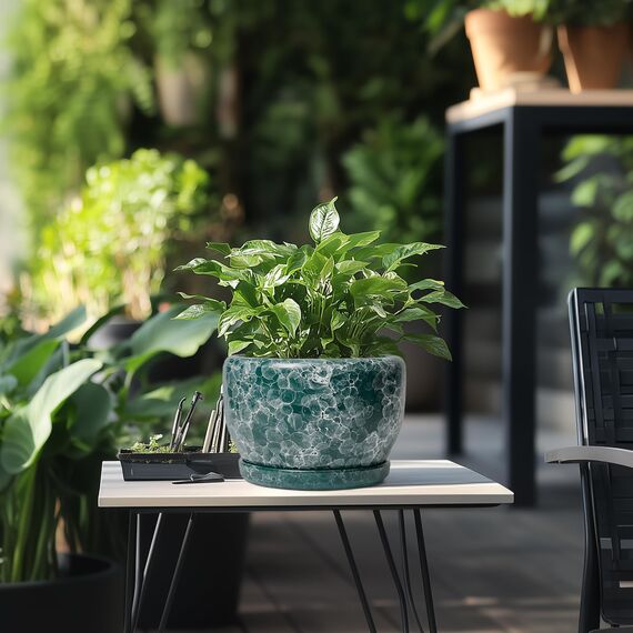 SQOWL 20,3 cm Pflanztopf – Keramik-Übertopf für Zimmerpflanzen, dekorativer Blumentopf mit Ablaufloch und Untersetzer, runder Übertopf für den Außenbereich, Raumterrassendekoration, Gartengeschenke