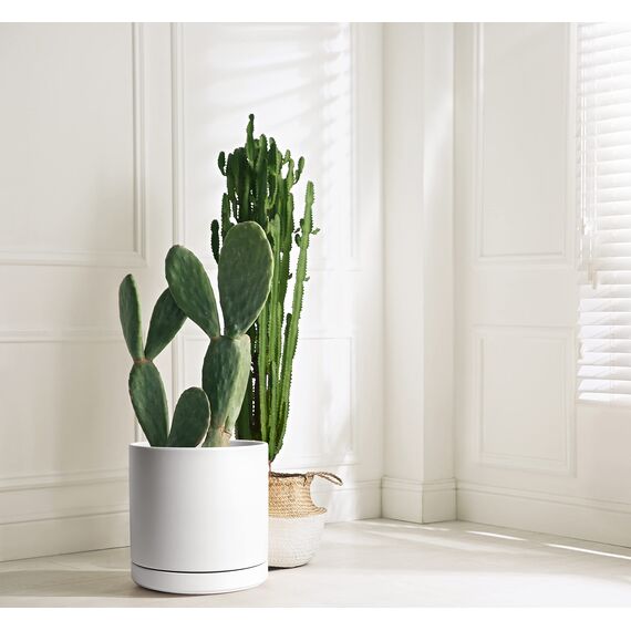 D'vine Dev 94-O-F-1 Keramik-Blumentopf mit Ablaufloch und Untersetzer, zylinderförmig, runder Blumentopf für den Innenbereich, Weiß, 30,5 cm