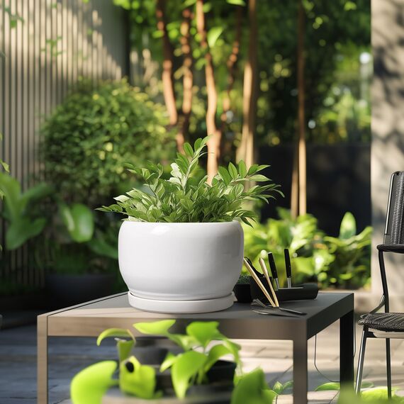 SQOWL Keramiktopf für Pflanzen – 25,4 cm Übertopf mit Ablaufloch und Untersetzer, runder Keramik-Blumentopf für drinnen und draußen, moderner dekorativer großer Übertopf, Terrassendekoration