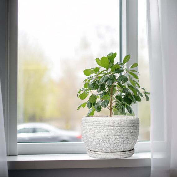 SQOWL Keramik-Übertopf – 20,3 cm großer Blumentopf für Innen- und Außenbereich, runder Keramik-Pflanztopf mit Ablaufloch und Untersetzer, gebürstetes Grau