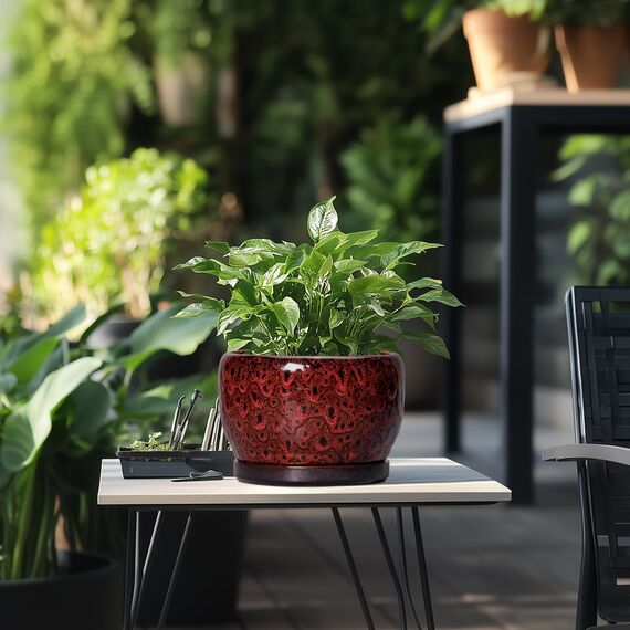 SQOWL Keramik-Blumentöpfe – 20,3 cm Übertopf mit Ablaufloch und Tablett, runder Keramik-Pflanztopf für drinnen und draußen, moderner dekorativer Blumentopf, Heimdekoration, Pflanzenliebhaber