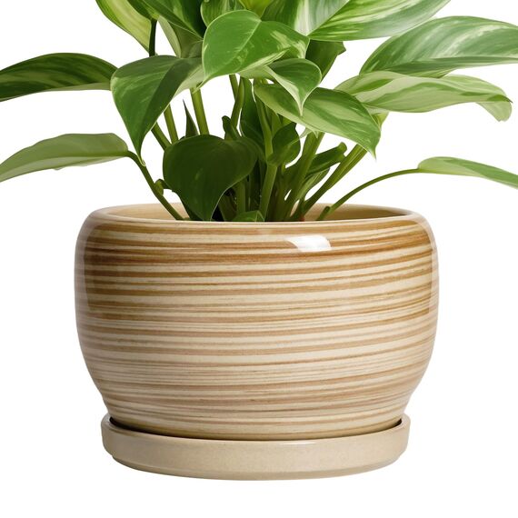 SQOWL Keramik-Pflanzgefäß, 20,3 cm, für drinnen und draußen, runder Übertopf mit Ablaufloch und Untersetzer, dekorativer moderner Keramik-Blumentopf, Wohnzimmerdekoration, Gartengeschenke, Gelb