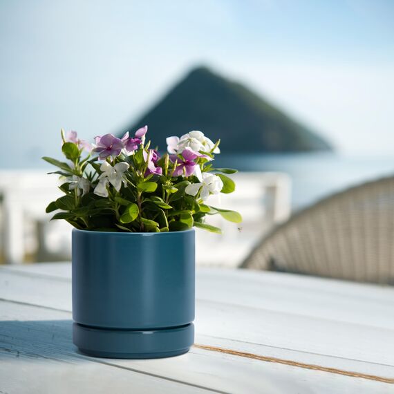 D'vine Dev 94-T-S-9 Runde Keramik-Pflanztöpfe mit Ablaufloch und Untersetzer, 7,6 cm, 10,2 cm und 15,2 cm, 3 Stück