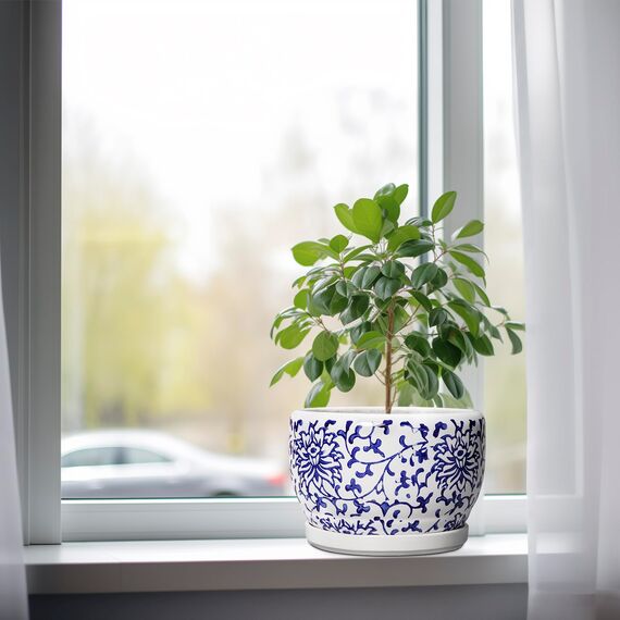 SQOWL Keramiktöpfe für Pflanzen – 20,3 cm Keramik-Pflanzgefäß mit Ablaufloch und Untersetzer, runde Blumentöpfe für Zimmerpflanzen, Porzellan-Pflanzgefäß für den Außenbereich, Veranda-Dekor, Geschenke