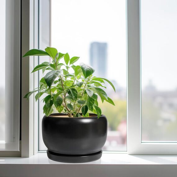 SQOWL Keramik-Blumentopf, 25,4 cm, Übertopf mit Ablaufloch und Untersetzer, moderner großer Pflanztopf für drinnen und draußen, dekorativer runder Übertopf, Schlafzimmerdekoration, Geschenke für