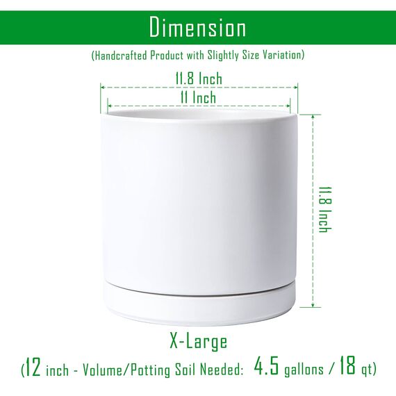 D'vine Dev 94-O-F-1 Keramik-Blumentopf mit Ablaufloch und Untersetzer, zylinderförmig, runder Blumentopf für den Innenbereich, Weiß, 30,5 cm