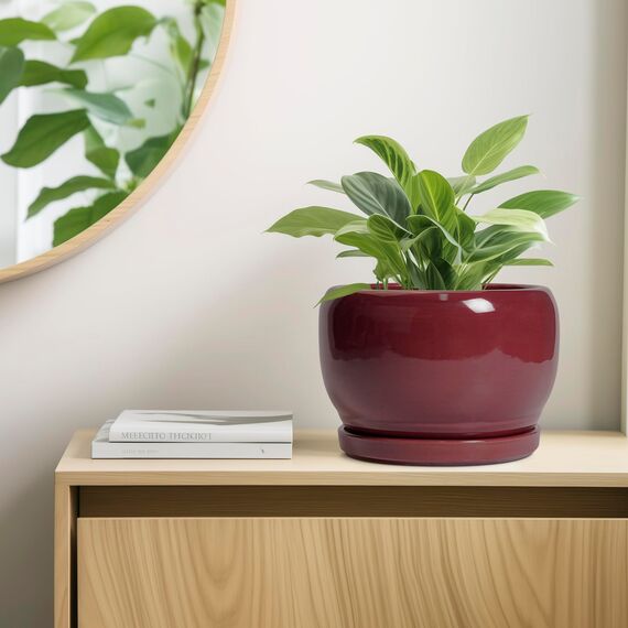 SQOWL Keramiktopf für Pflanzen – 25,4 cm Indoor-Pflanzgefäß mit Ablaufloch und Untersetzer, runder moderner Übertopf für den Außenbereich, dekorativer großer Blumentopf für Blume, Wohnzimmerdekoration