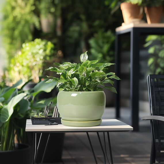 SQOWL 20,3 cm großer Blumentopf – Keramik-Pflanzgefäße mit Ablaufloch und Tablett, runder Blumentopf für Zimmerpflanzen, Moderne dekorative Pflanzgefäße für den Außenbereich, Gartendekoration