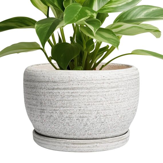 SQOWL Keramik-Übertopf – 20,3 cm großer Blumentopf für Innen- und Außenbereich, runder Keramik-Pflanztopf mit Ablaufloch und Untersetzer, gebürstetes Grau