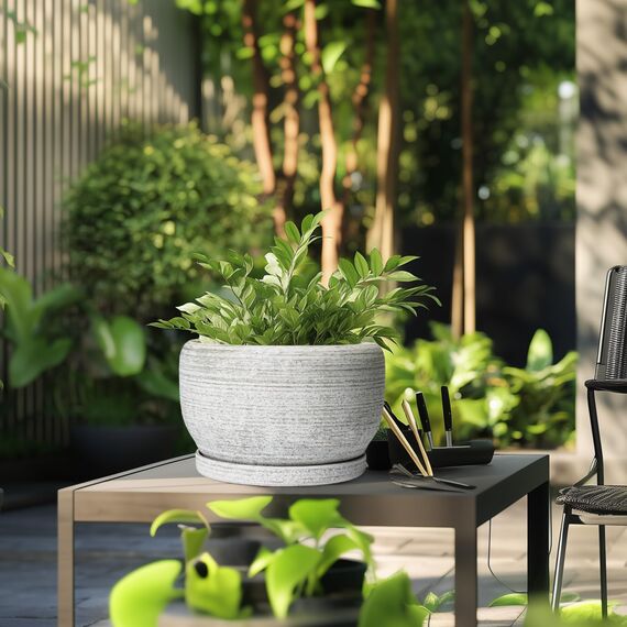 SQOWL Blumentopf aus Keramik, 25,4 cm, mit Ablaufloch und Untersetzer, dekorativer Blumentopf für Innen- und Außenbereich, runder Übertopf, gebürstetes Grau