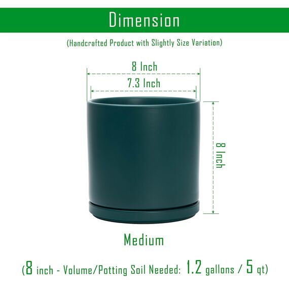 D'vine Dev 94-O-D-9 Keramik-Blumentopf mit Ablaufloch und Untersetzer, zylinderförmig, runder Blumentopf für den Innenbereich, Blaugrün, 20,3 cm