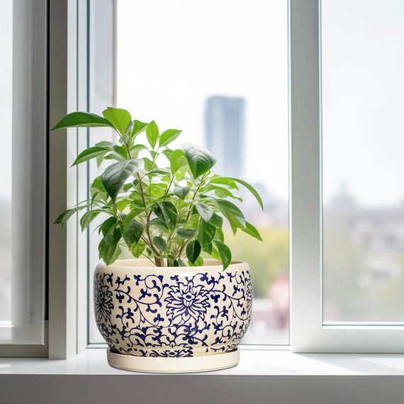 SQOWL 25,4 cm Blumentopf für den Innenbereich, Keramik-Pflanzgefäß mit Ablaufloch und Tablett, große Keramik-Blumentöpfe für den Außenbereich, Porzellan, dekorativer runder Übertopf, Raumdekoration